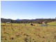 Lot 1 Kesby’s Road, Hickeys Creek NSW 2440