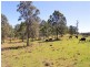 Lot 1 Kesby’s Road, Hickeys Creek NSW 2440