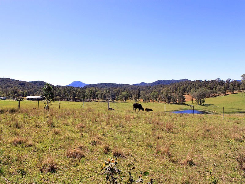 Lot 1 Kesby’s Road, Hickeys Creek NSW 2440