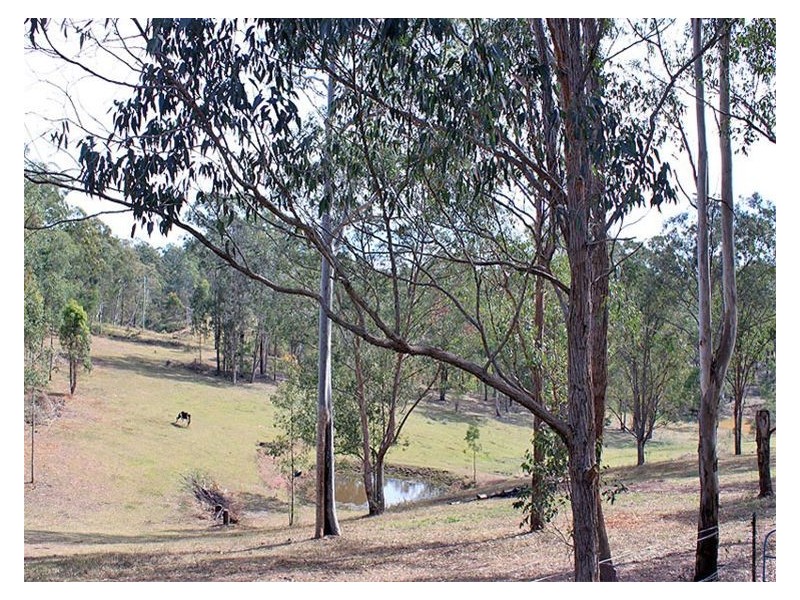 1102 Willi Willi Road, Turners Flat NSW 2440