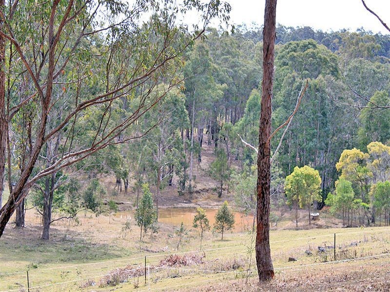 1102 Willi Willi Road, Turners Flat NSW 2440