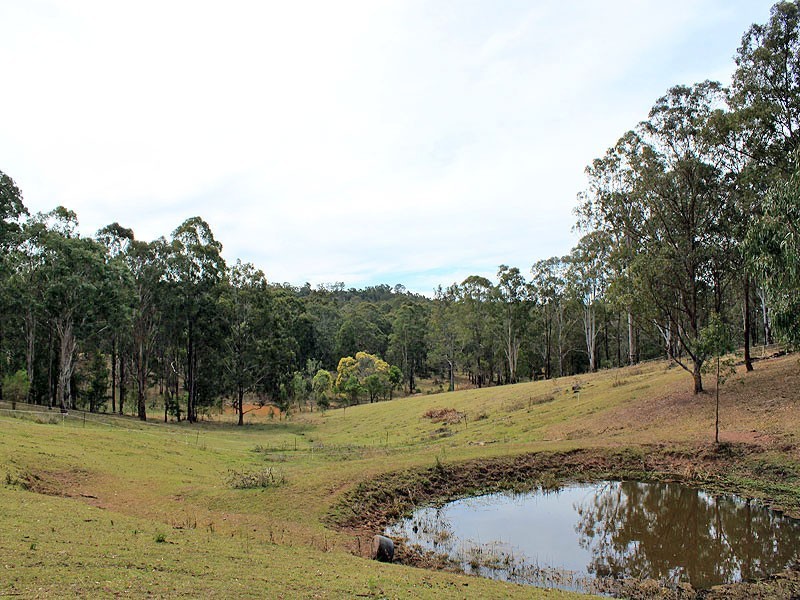 1102 Willi Willi Road, Turners Flat NSW 2440