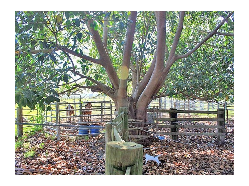 Lots 1 & 2 Hat Head Road, Kinchela NSW 2440