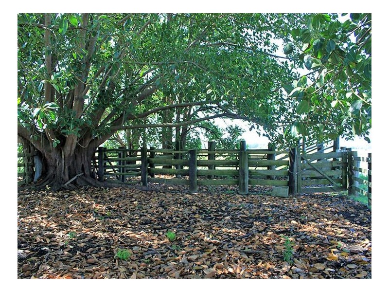 Lots 1 & 2 Hat Head Road, Kinchela NSW 2440