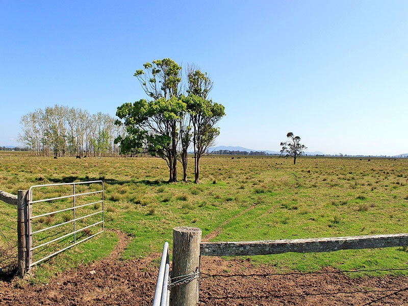 Lots 1 & 2 Hat Head Road, Kinchela NSW 2440