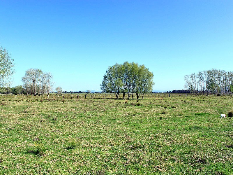 Lots 1 & 2 Hat Head Road, Kinchela NSW 2440
