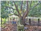 Lot 1 & 2 Hat Head Road, Kinchela NSW 2440