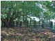 Lot 1 & 2 Hat Head Road, Kinchela NSW 2440