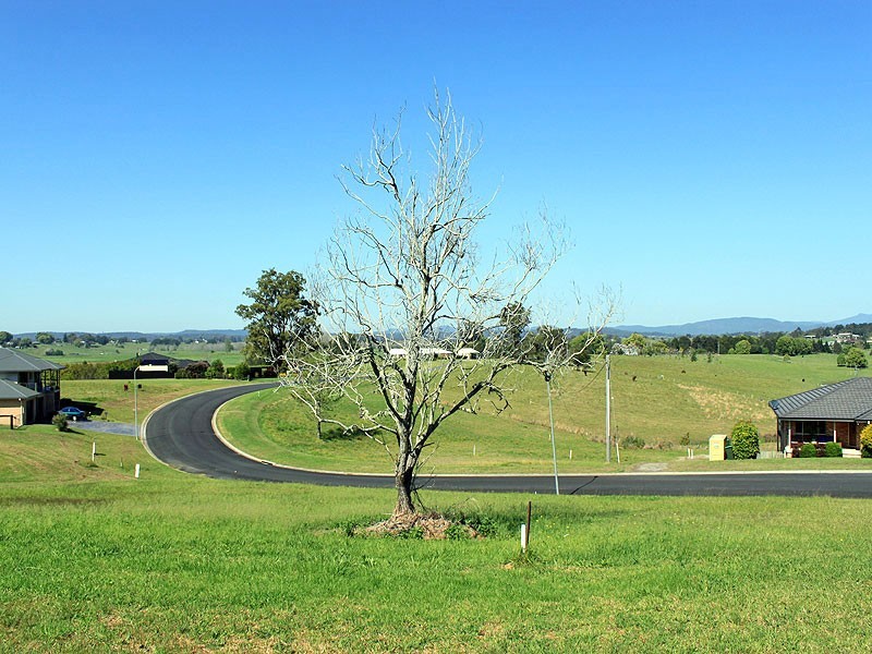 12 Springfields Drive, Greenhill NSW 2440