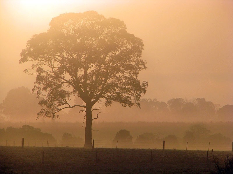 16a  Airport Road, ALDAVILLA, via, Kempsey NSW 2440