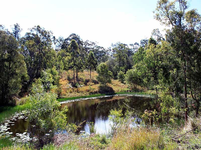 51 Avery’s Lane, DONDINGALONG, via, Kempsey NSW 2440