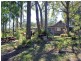 1512 Collombatti Road, Collombatti NSW 2440