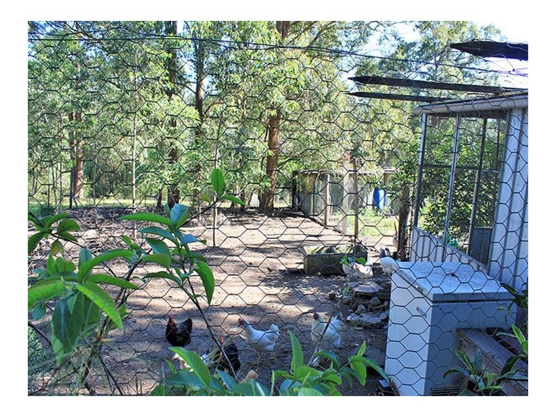 1512 Collombatti Road, Collombatti NSW 2440