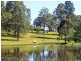 1512 Collombatti Road, Collombatti NSW 2440