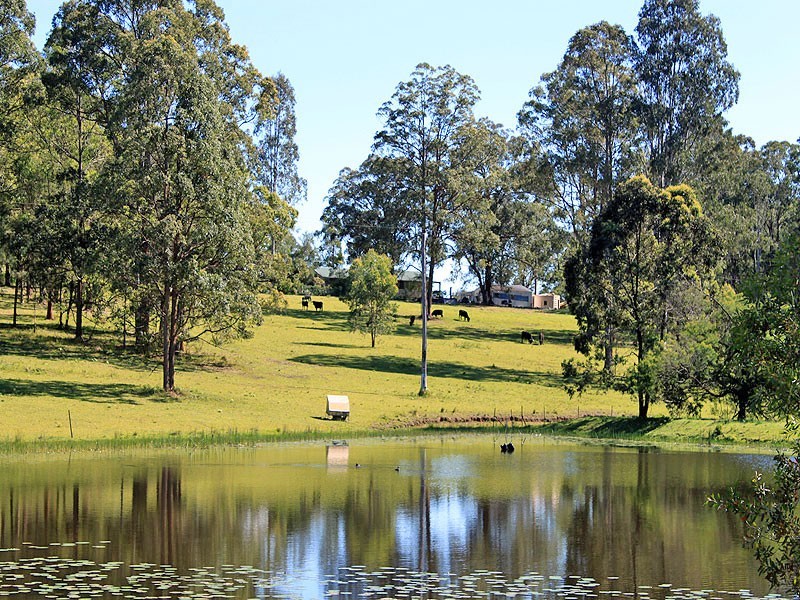 1512 Collombatti Road, Collombatti NSW 2440