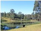 1512 Collombatti Road, Collombatti NSW 2440