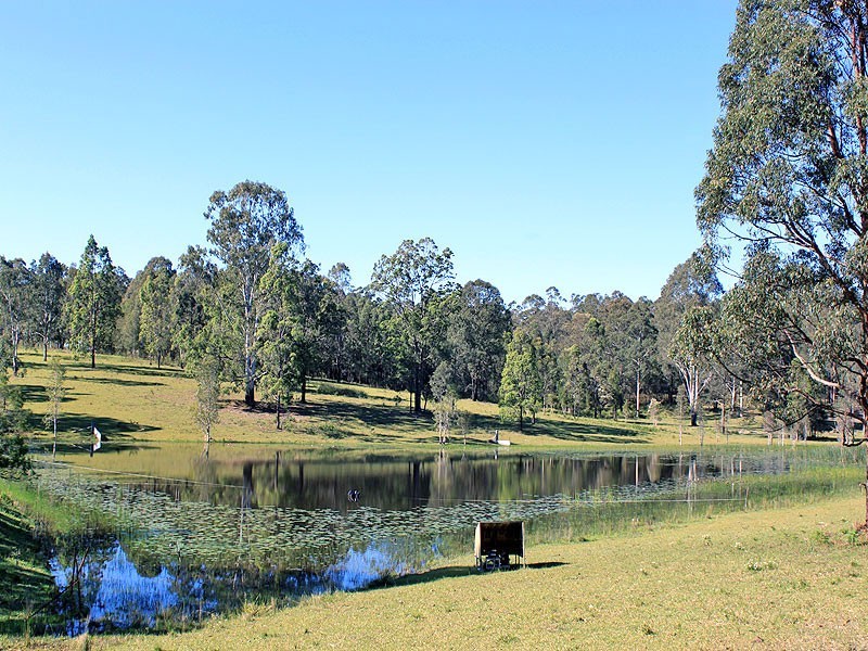 1512 Collombatti Road, Collombatti NSW 2440