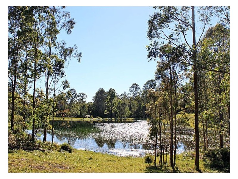 1512 Collombatti Road, Collombatti NSW 2440