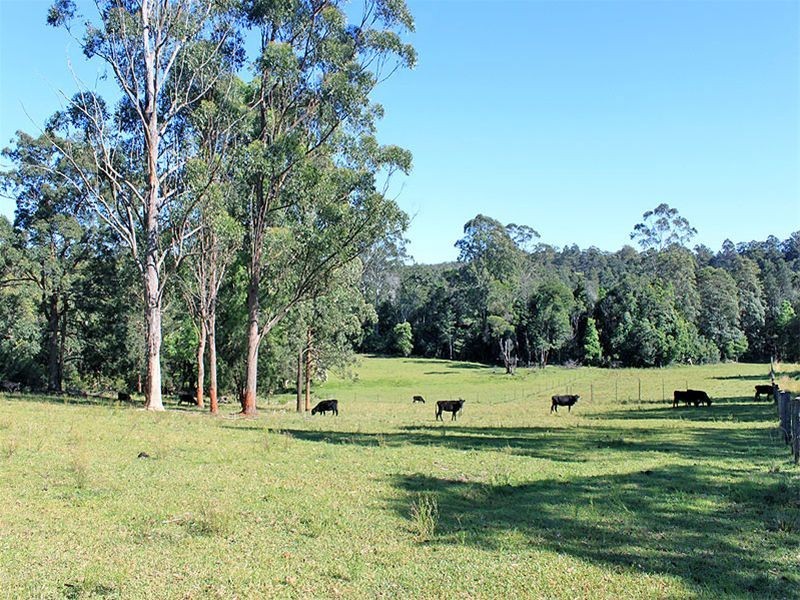 1512 Collombatti Road, Collombatti NSW 2440