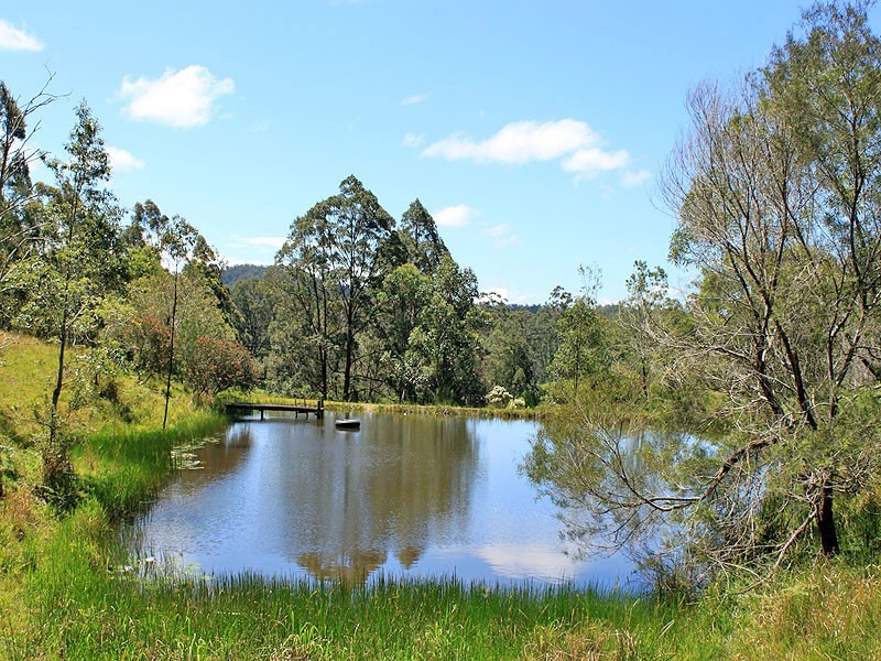 362 Elliots Road, TAMBAN, via, Eungai Creek NSW 2441