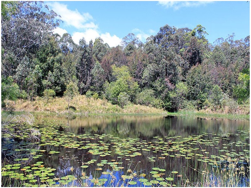 362 Elliots Road, TAMBAN, via, Eungai Creek NSW 2441