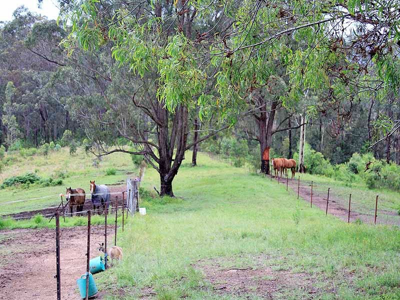 315 Mungay Creek Road, Willawarrin NSW 2440
