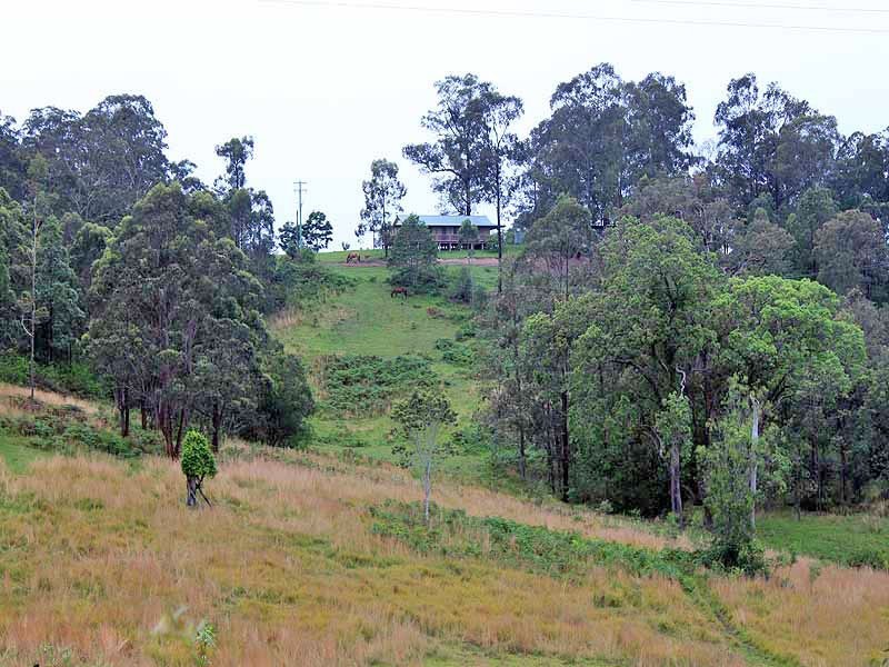 315 Mungay Creek Road, Willawarrin NSW 2440