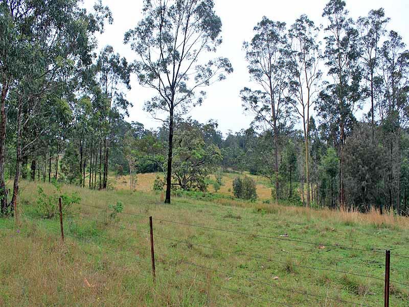 315 Mungay Creek Road, Willawarrin NSW 2440