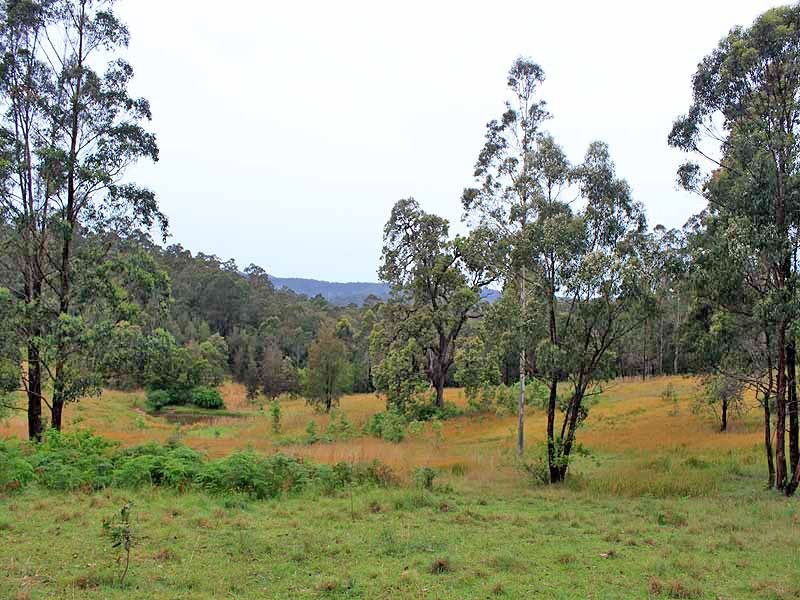 315 Mungay Creek Road, Willawarrin NSW 2440