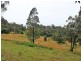 315 Mungay Creek Road, Willawarrin NSW 2440