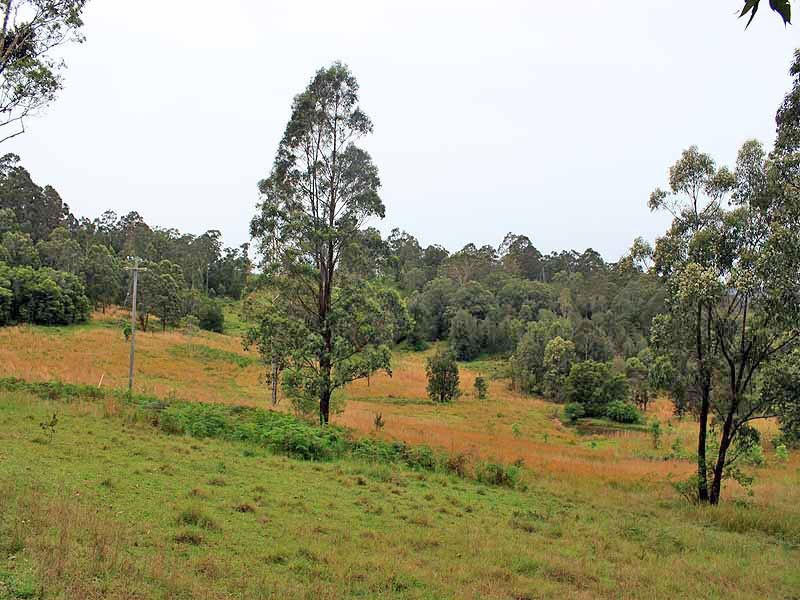 315 Mungay Creek Road, Willawarrin NSW 2440