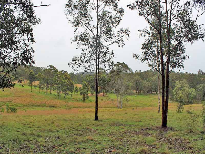 315 Mungay Creek Road, Willawarrin NSW 2440