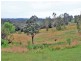 315 Mungay Creek Road, Willawarrin NSW 2440