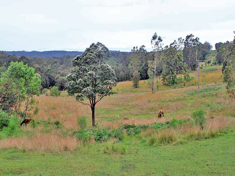 315 Mungay Creek Road, Willawarrin NSW 2440