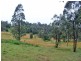 315 Mungay Creek Road, Willawarrin NSW 2440