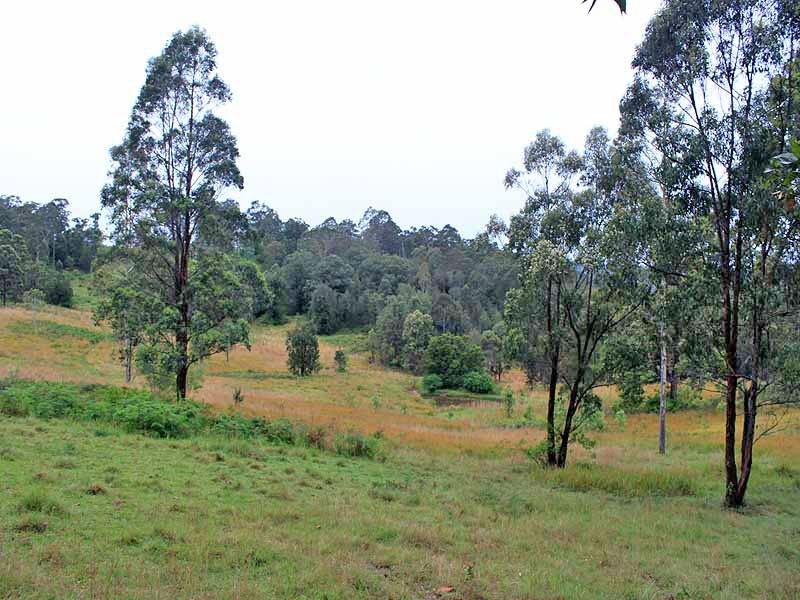 315 Mungay Creek Road, Willawarrin NSW 2440