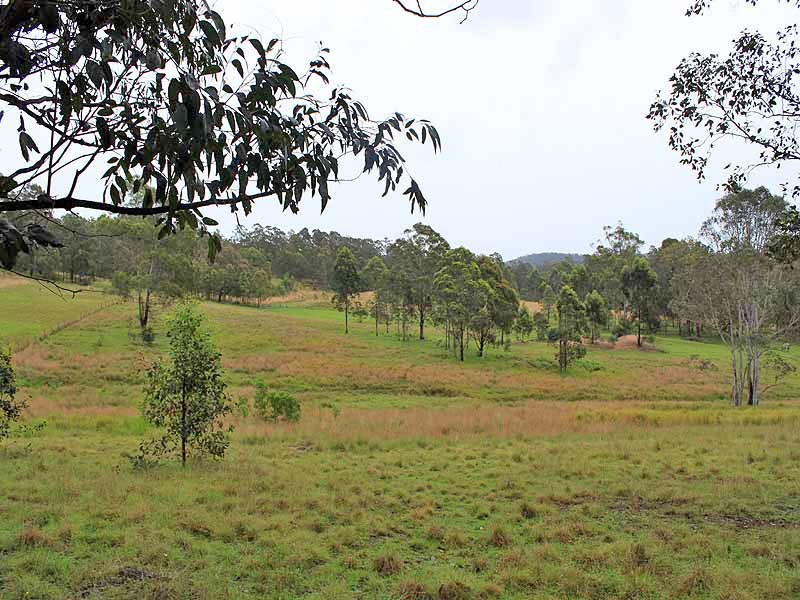 315 Mungay Creek Road, Willawarrin NSW 2440