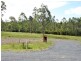 Proposed Lots 14 – Jack Richardson Drive, Yarravel NSW 2440