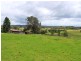 117 Hallelujah Drive, Collombatti NSW 2440