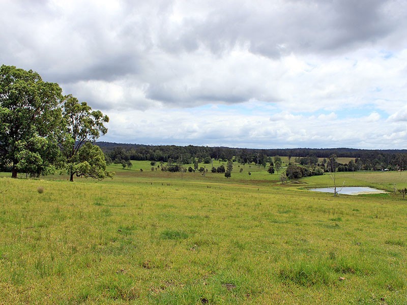 117 Hallelujah Drive, Collombatti NSW 2440