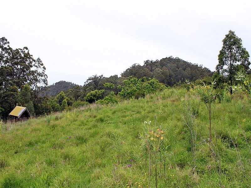 Lot 622, DP 716593 Yessabah Road, Yessabah NSW 2440