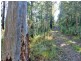Lot 20 Toorumbee Road,, Moparrabah NSW 2440