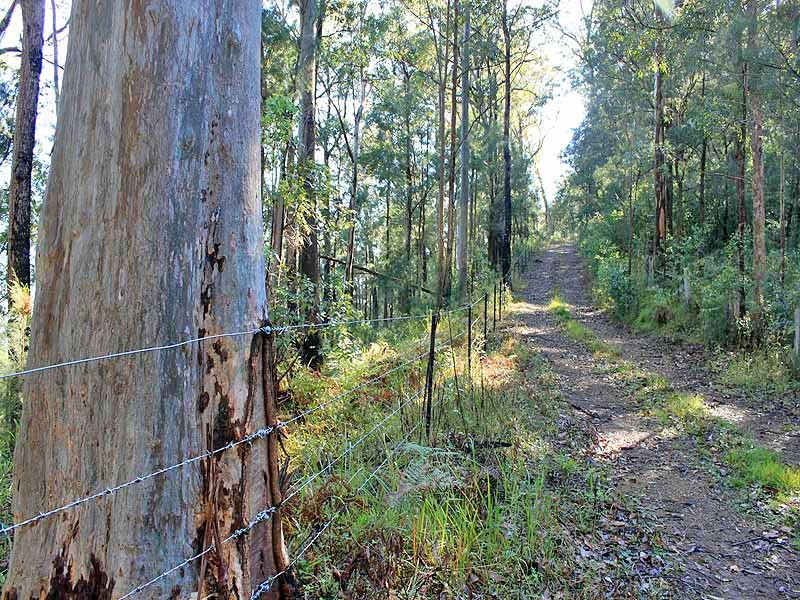 Lot 20 Toorumbee Road,, Moparrabah NSW 2440