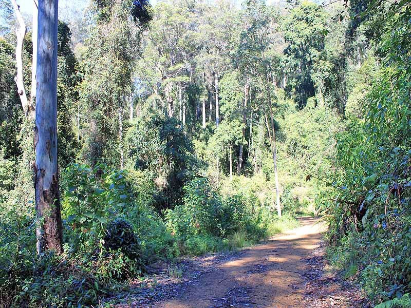 Lot 20 Toorumbee Road,, Moparrabah NSW 2440