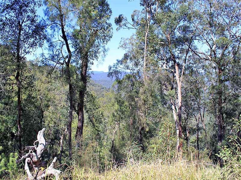 Lot 20 Toorumbee Road,, Moparrabah NSW 2440