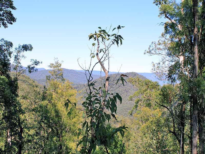 Lot 20 Toorumbee Road,, Moparrabah NSW 2440