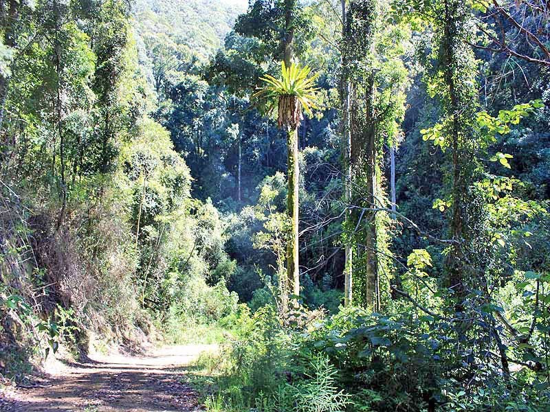 Lot 20 Toorumbee Road,, Moparrabah NSW 2440
