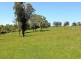 Lot 12 Euroka Road, EUROKA, via, Kempsey NSW 2440
