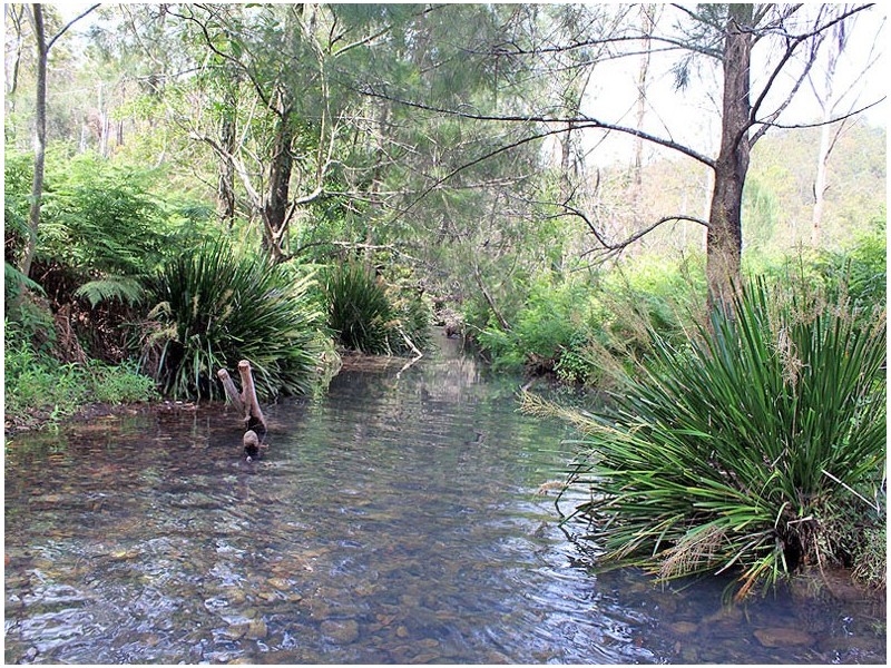 Lot 13 Hut Road, BANDA BANDA, Kempsey NSW 2440