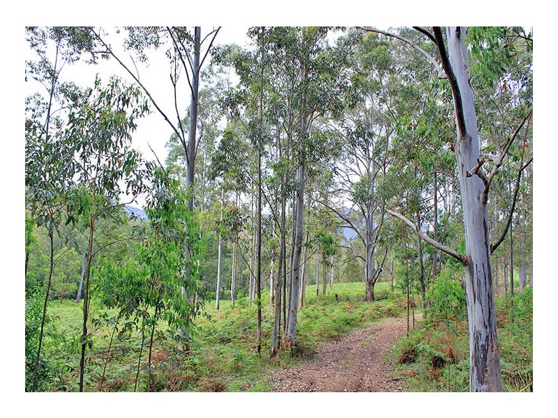 Lot 13 Hut Road, BANDA BANDA, Kempsey NSW 2440